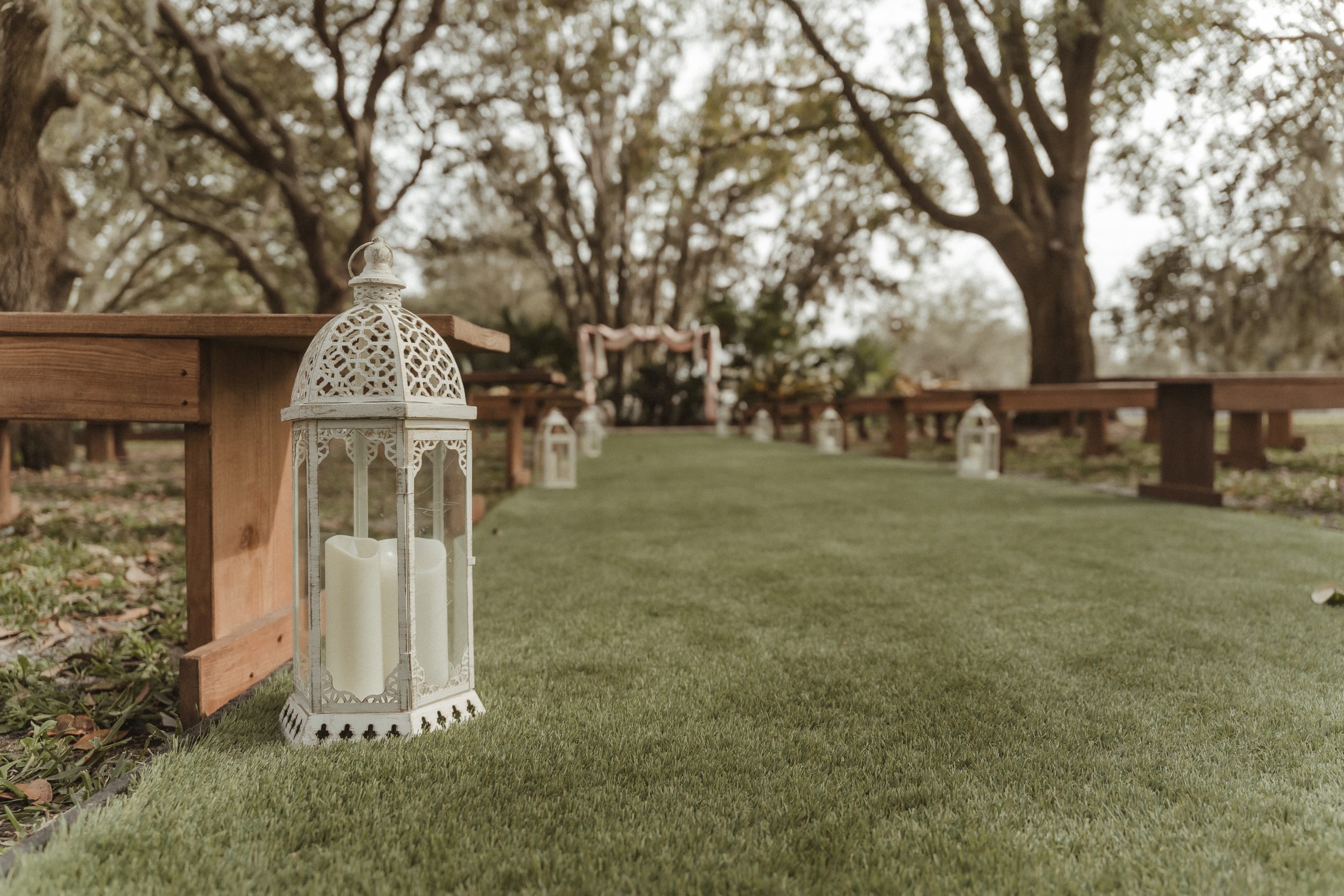 THE LAWN