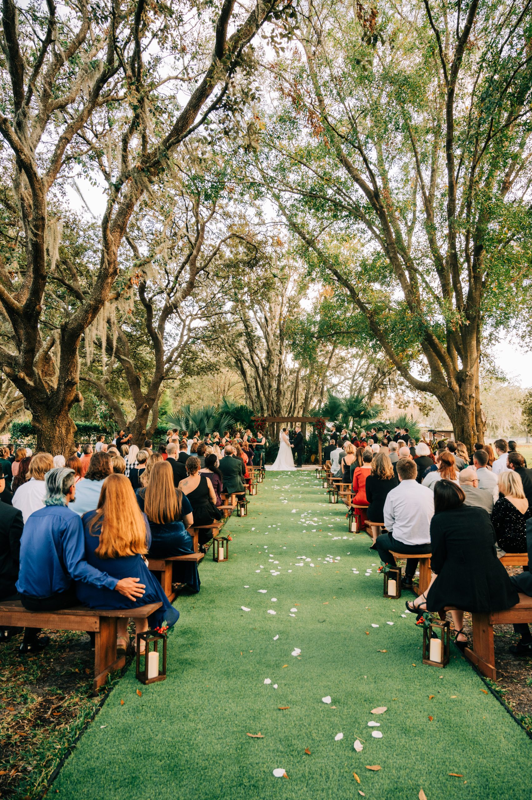 THE LAWN